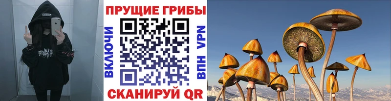 Псилоцибиновые грибы MAGIC MUSHROOMS  Купить  Сызрань 